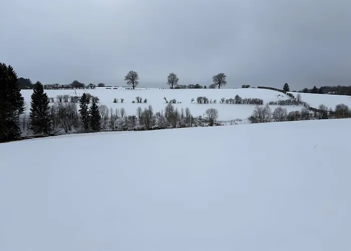 Die Alte Linde